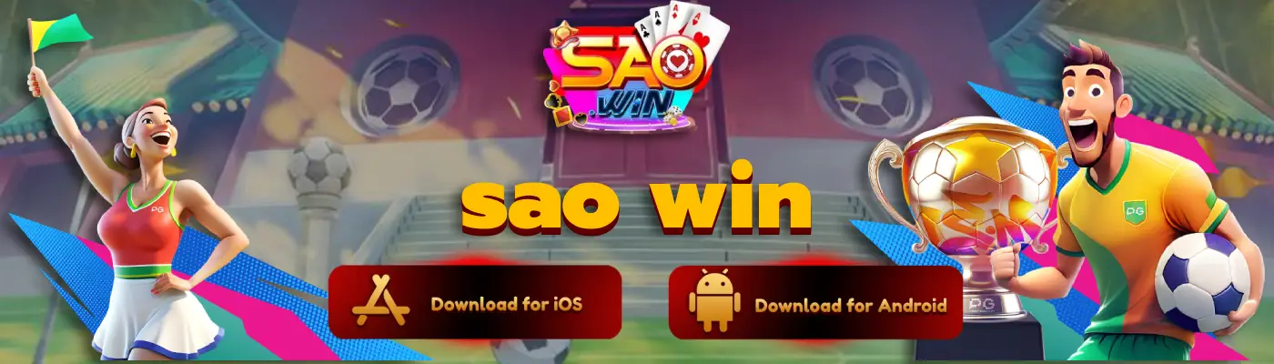 sao win